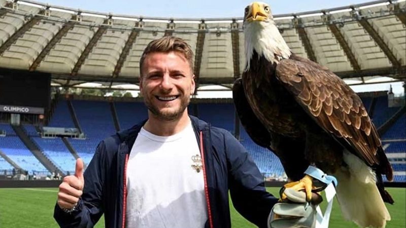 090724Immobile