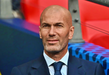 080125Zidane